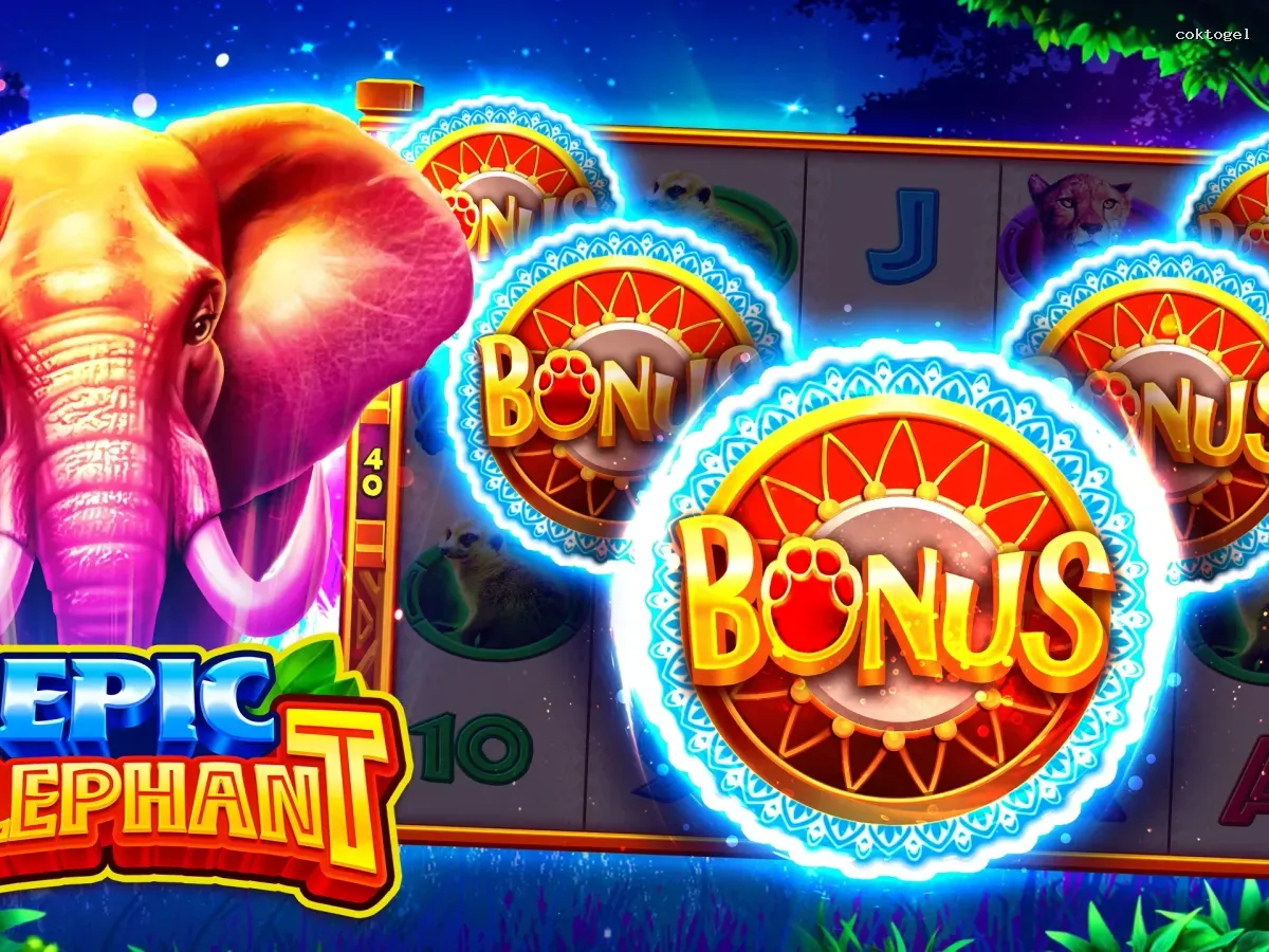 Akses coktogel VIP Premium screenshot